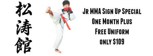 kids mma