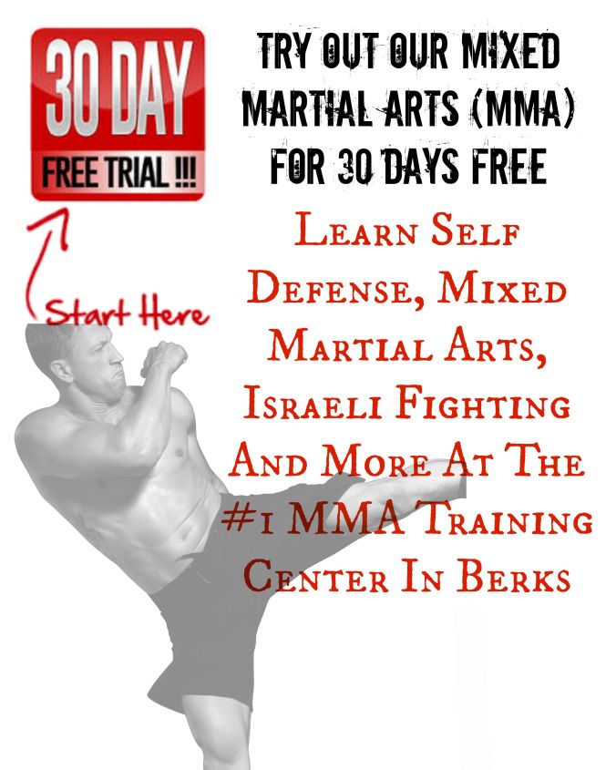 30 day free mma training